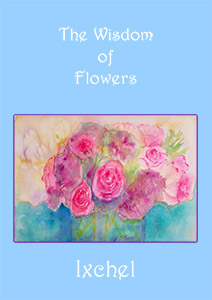 The Wisdom of Flowers Book Cover