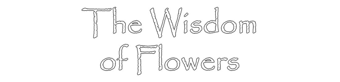 The Wisdom of Flowers